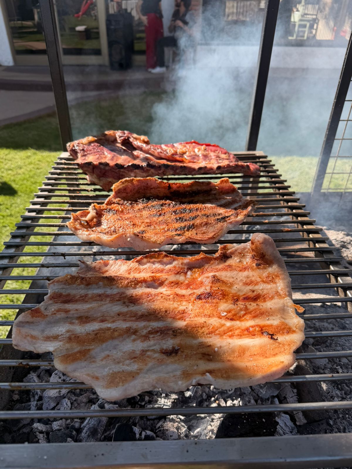 Parrilla con alitas y cortes